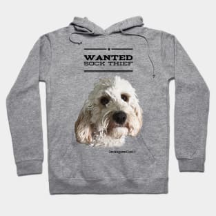 Cockapoo / Doodle Dog Sock Thief Hoodie